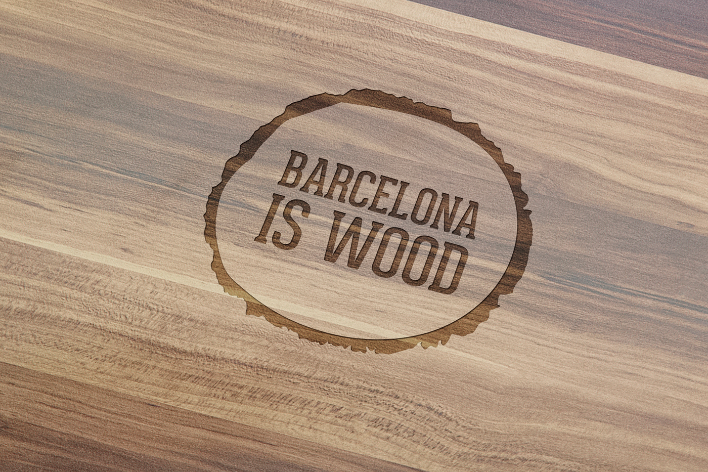 wood toy graphic design corporative identity lucia eirea logo craft handcrafted furniture barcelona