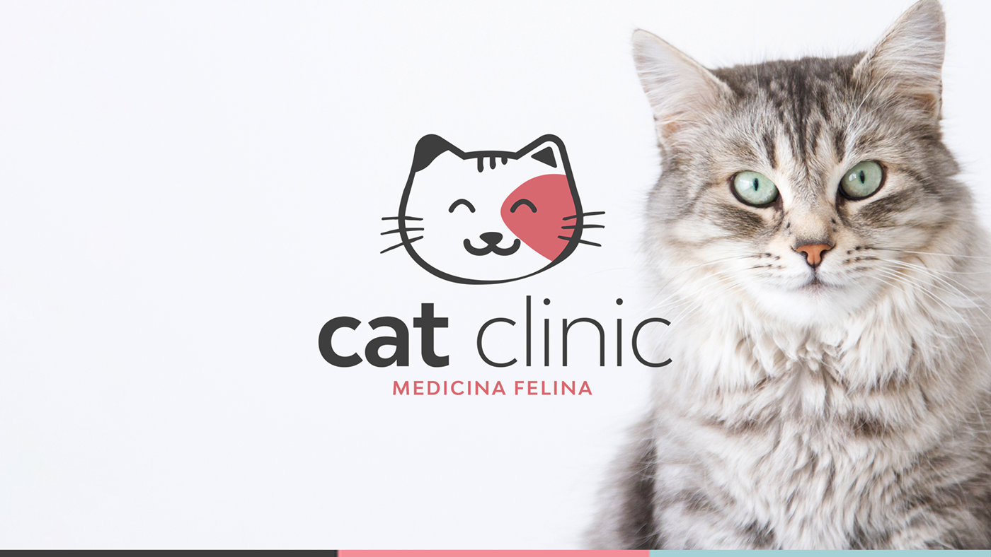 marca branding  Cat Pet vet Logotipo Logomarca