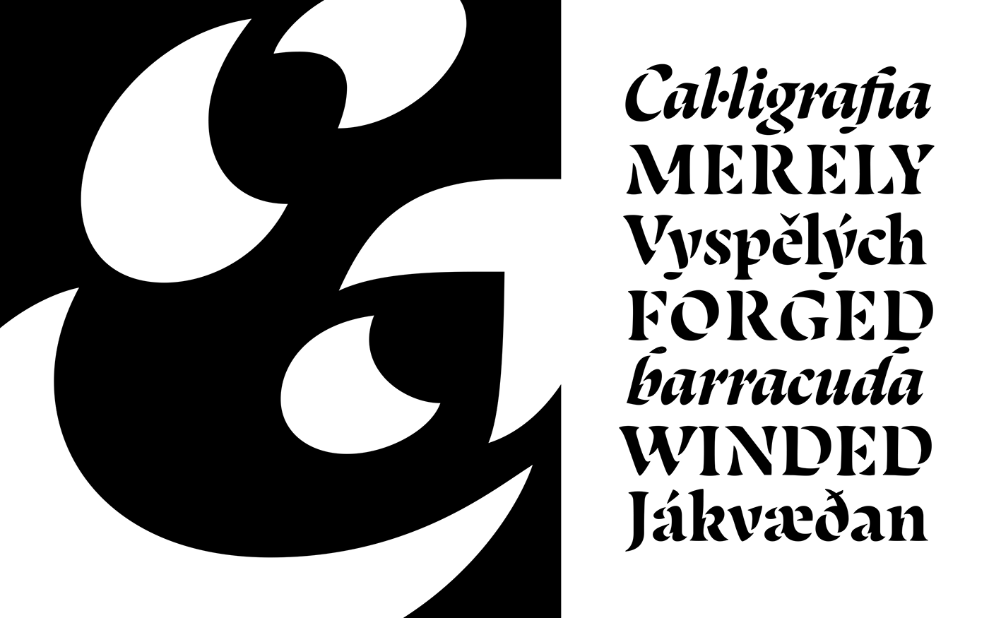 Typeface font stencil Calligraphy   broadnib type design flourishes alternates palomares baroque