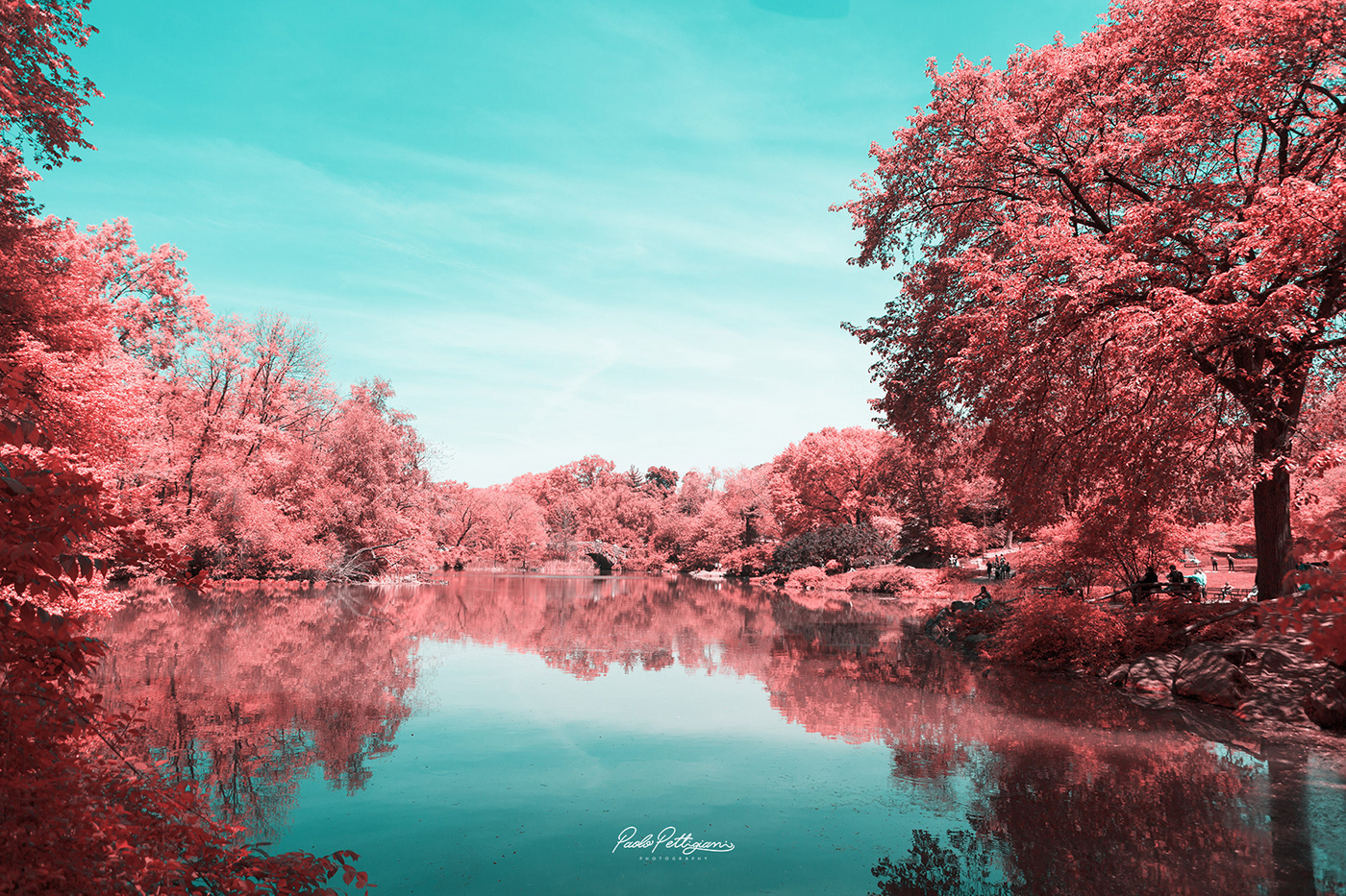 New York infrared digital photo photoshop Nature water red color light city Landscape Urban design Manhattan