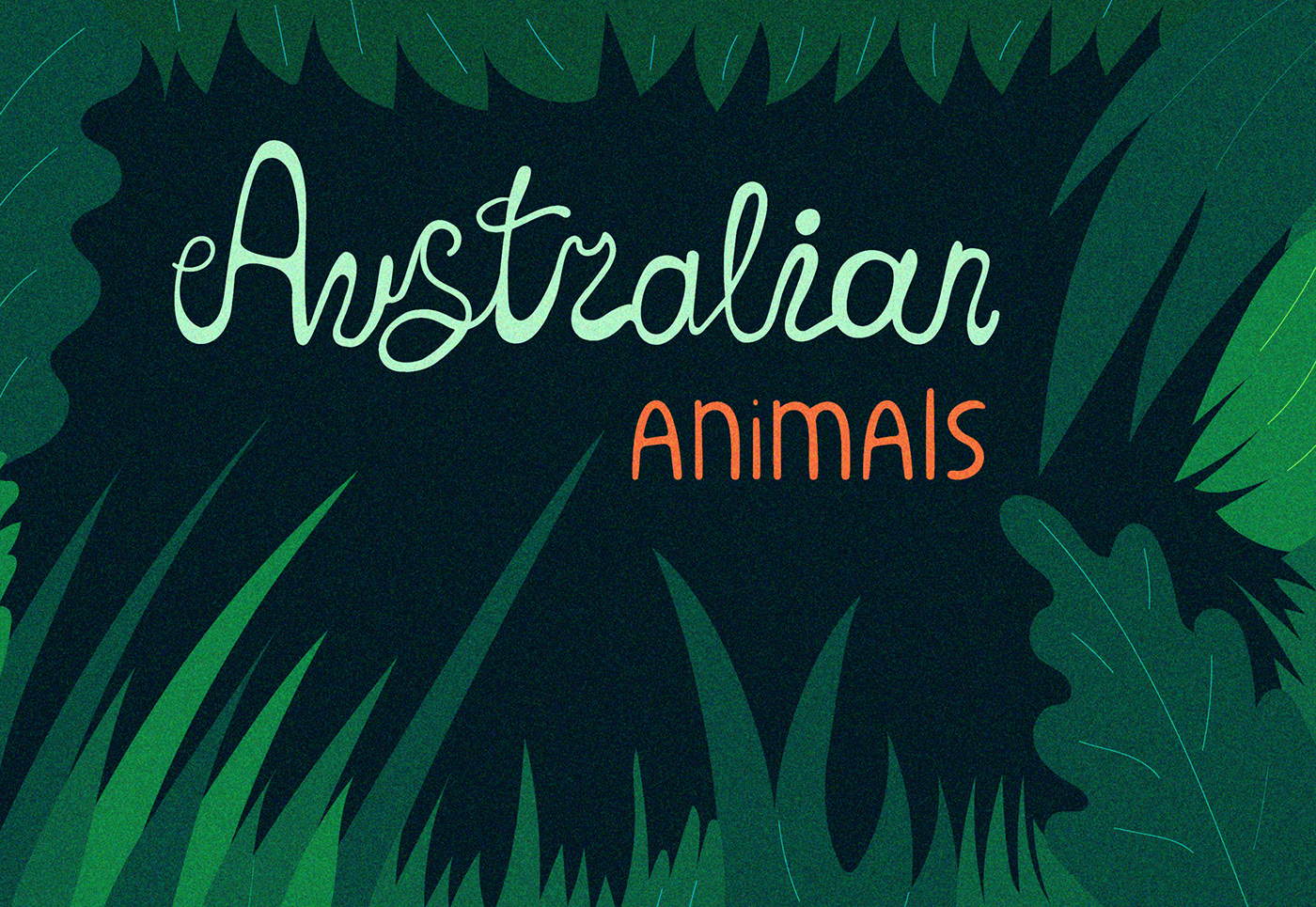 animal design animals Australia Character design  illustrations kangaroo koala platypus