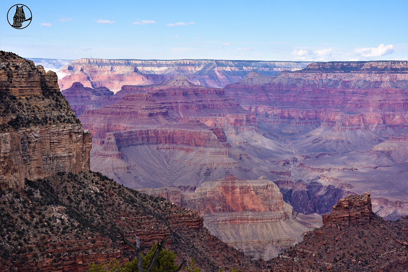 Grand Canyon Park national Nature Landscape Tree  Ancient Landmark amazing huge