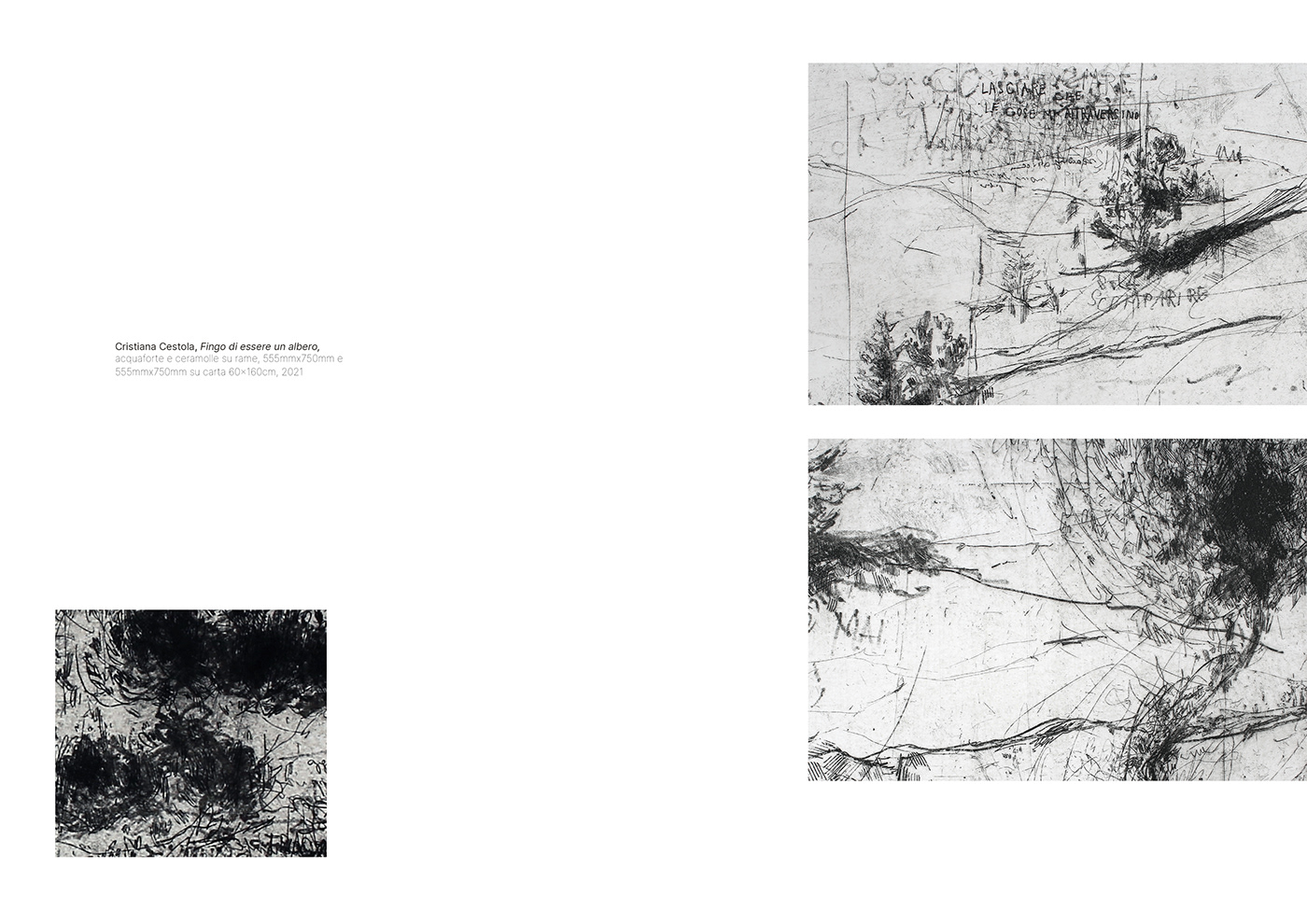 acquaforte calcografia calcography contemporary art etching grafica d'arte portfolio printmaking statement
