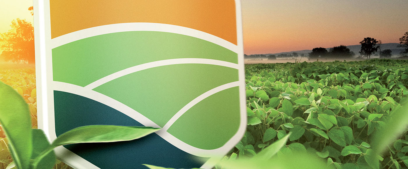 orange green blue Agribusiness seeds logo corporate Multinational brand redesign
