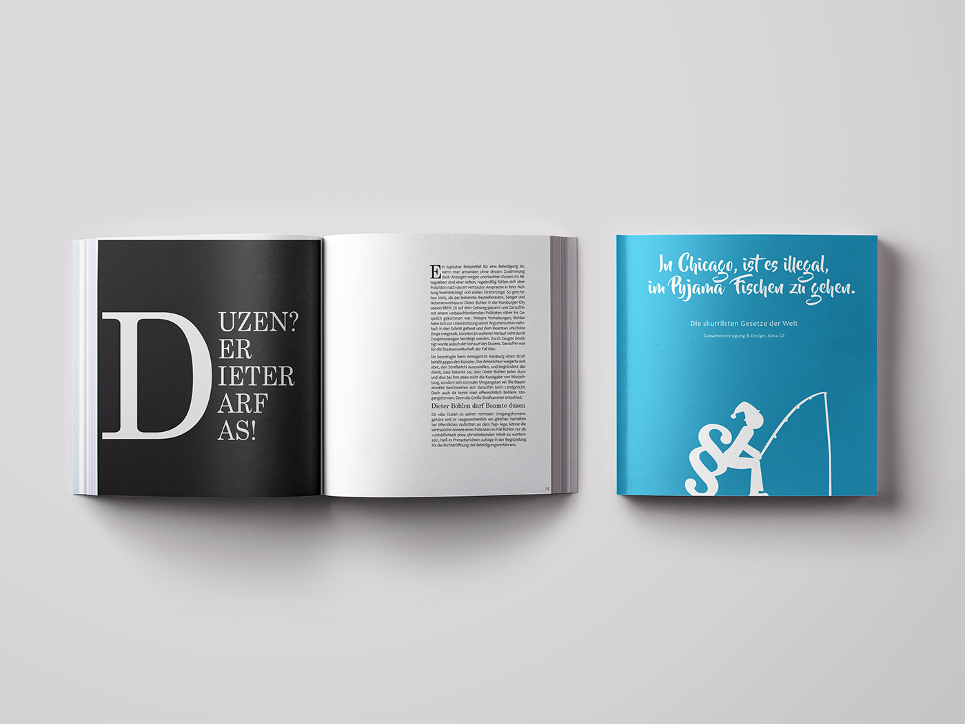 Adobe Portfolio Alina Gil Skurrile Gesetze typografie Printmedien graphic design 