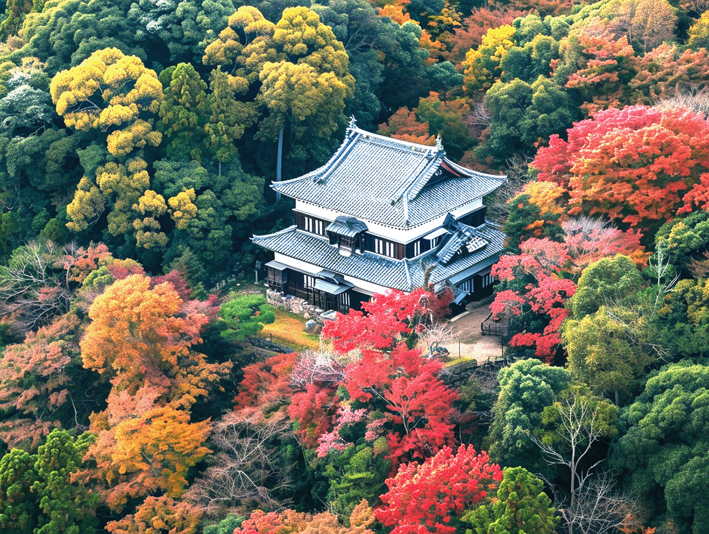 An old Japanese castle surrounded by a dense colorful forest
