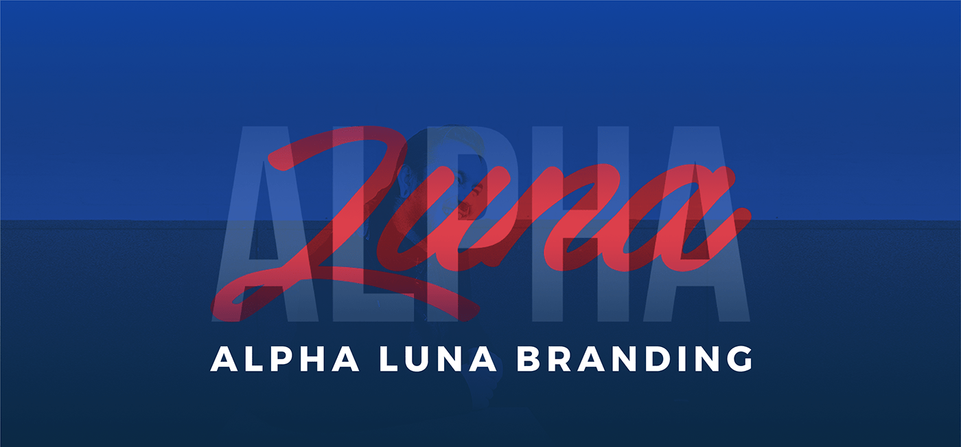 animation  blue branding  graphic design  Logo Design red stationary studio typography   visual identity