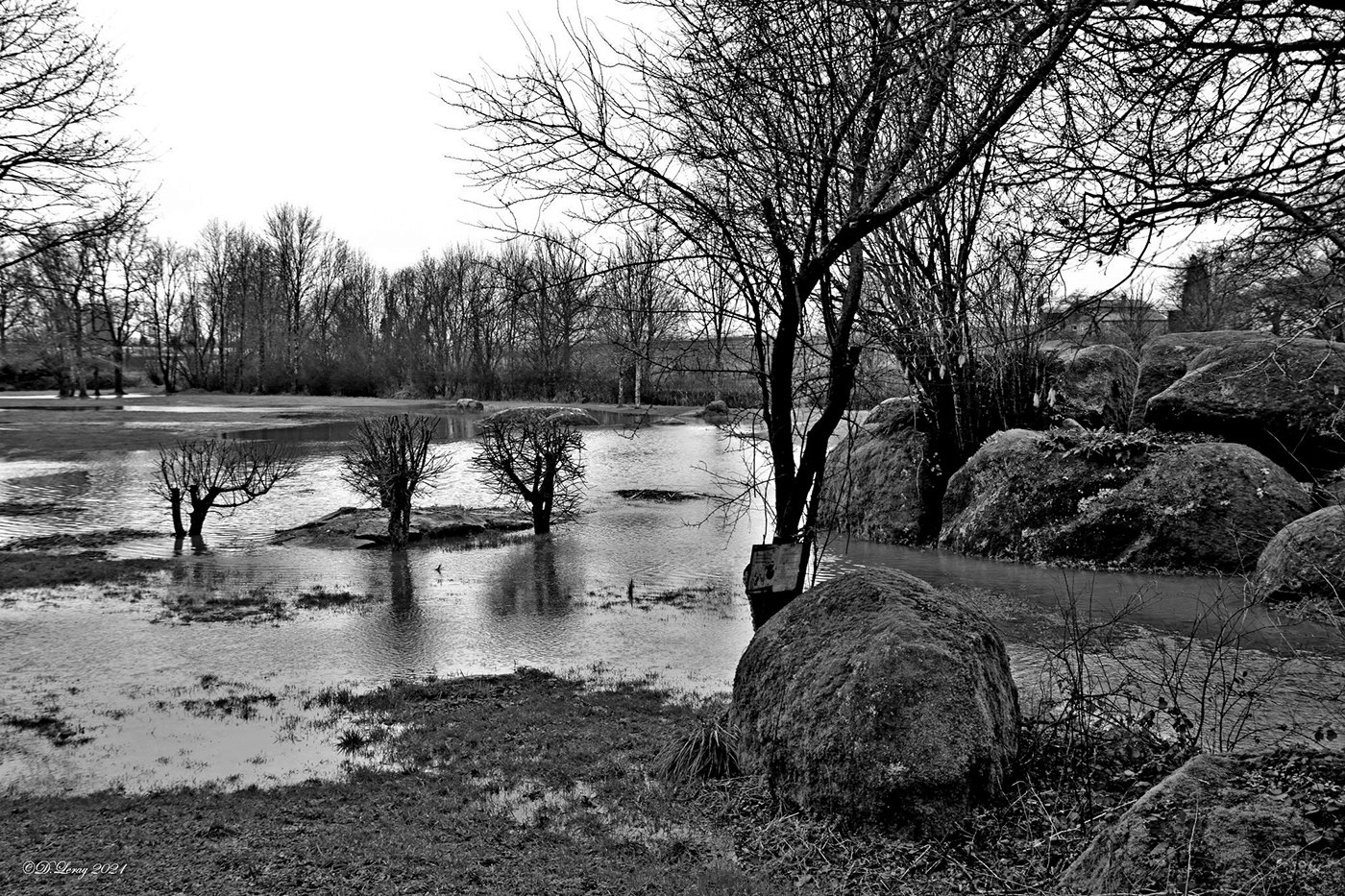 black and white chirons crue inondation river rivière Sèvre