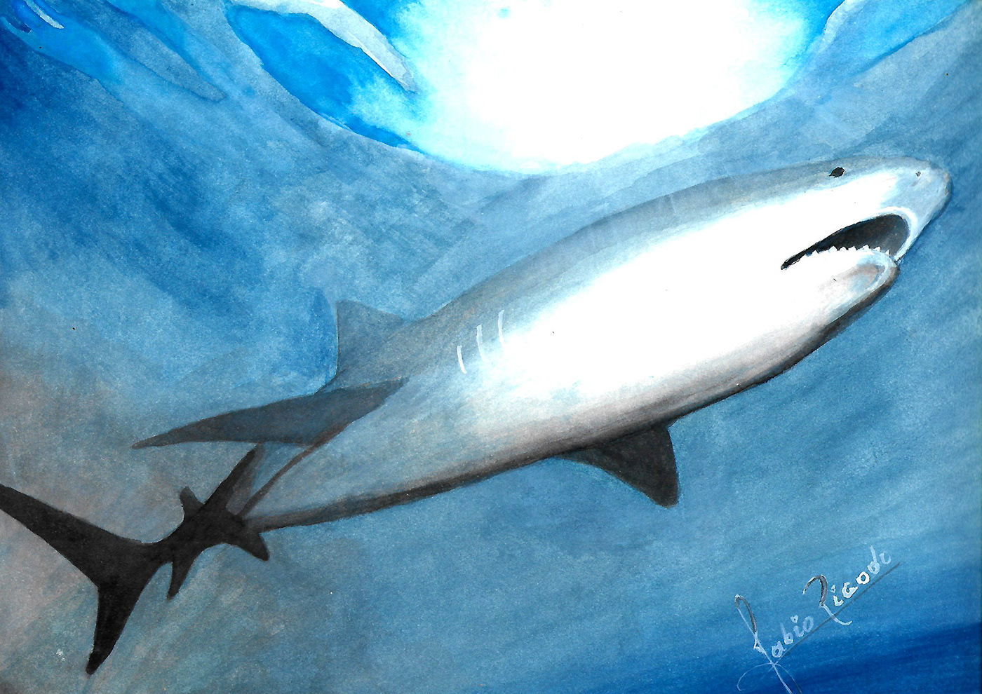 animals Drawing  fish painting   shark watercolor