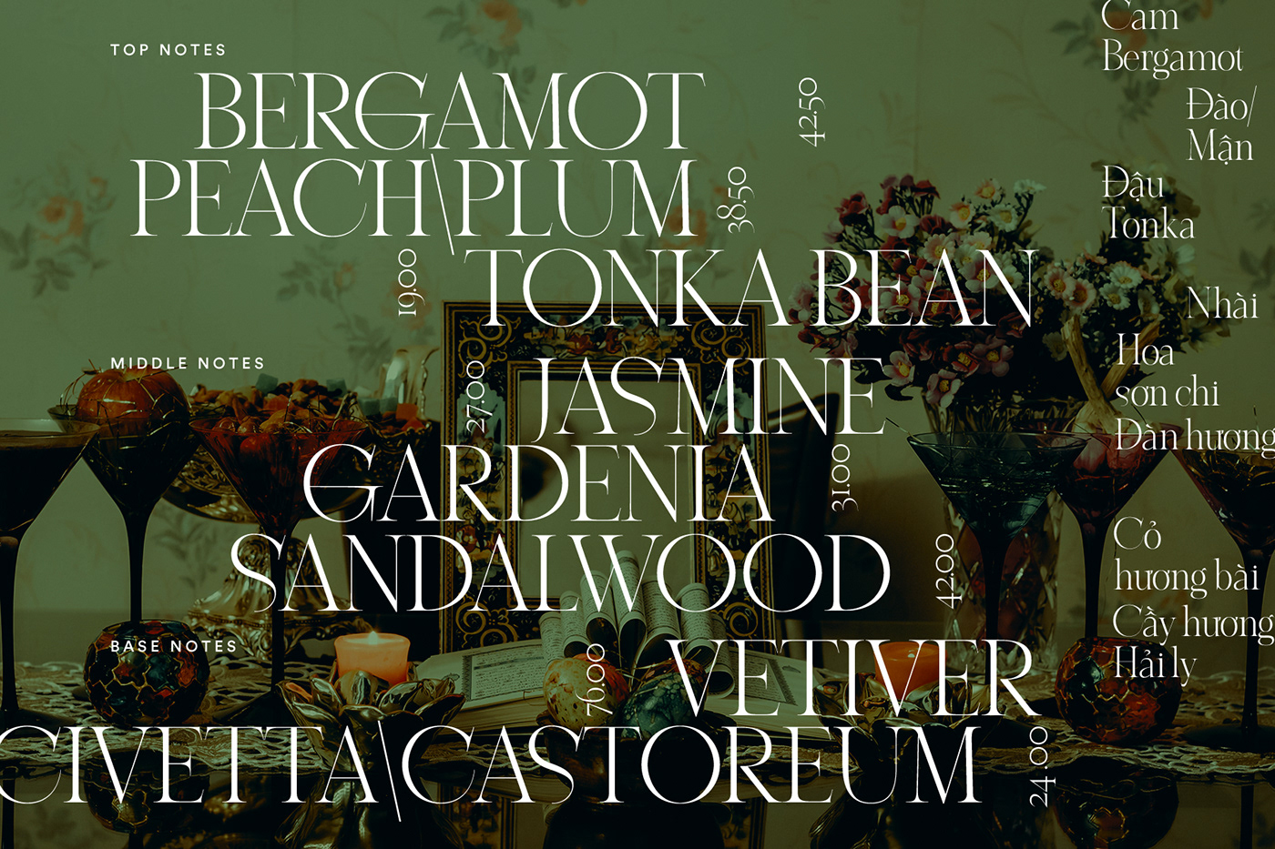 Absinthe elegant feminine font serif tieng viet transitional type typography   vietnam