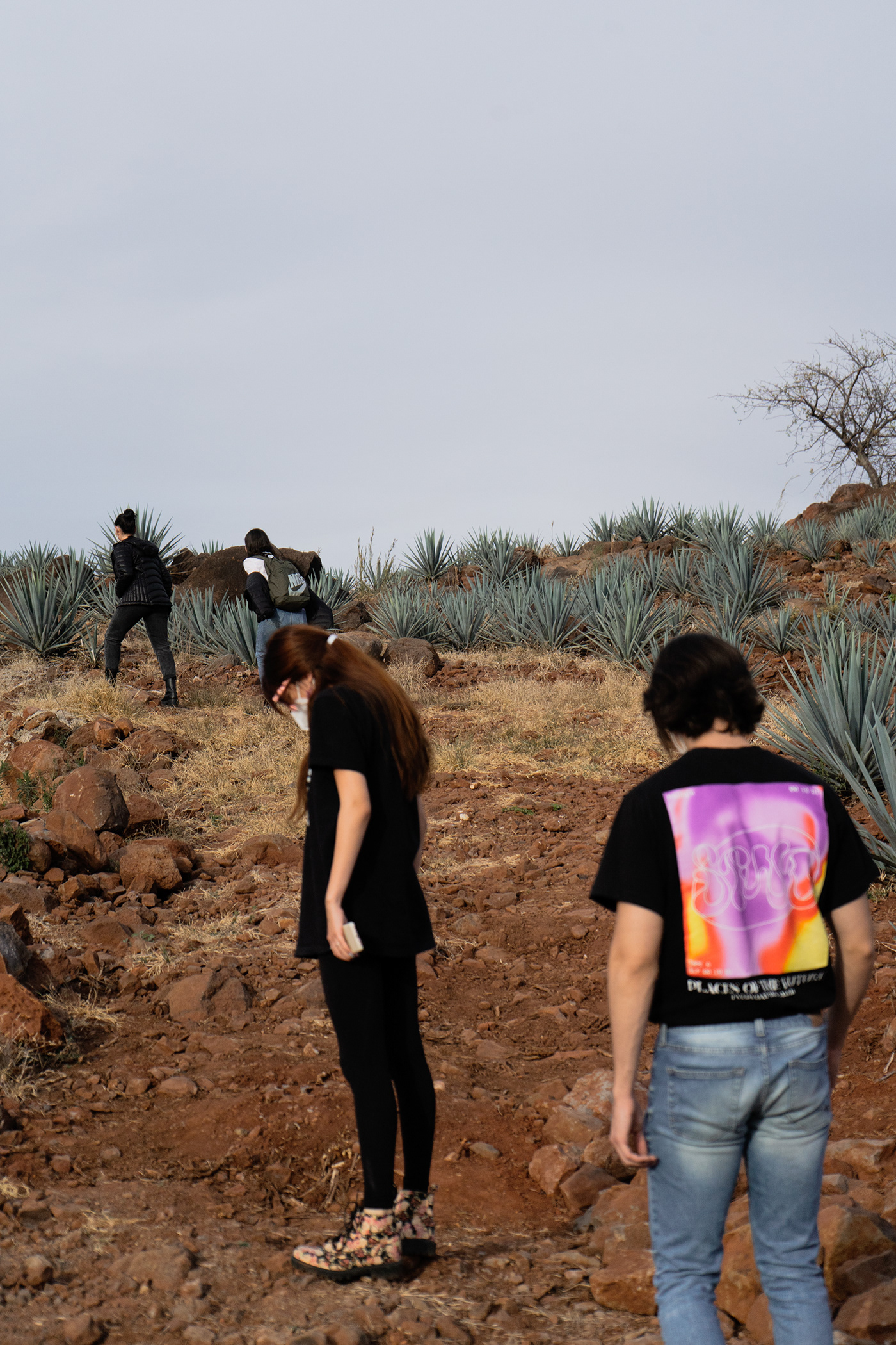 behind the scenes Landscape making of monte carlo musicband Photography  shooting shooting day Tequila youtuber  