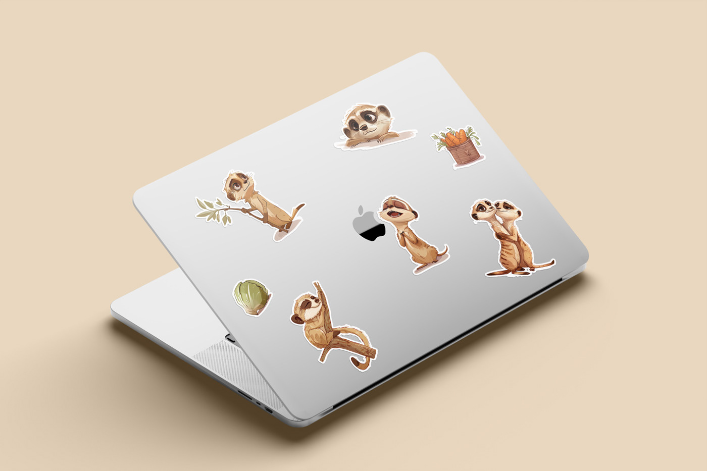 Brand Identity for eco-friendly store. Stickers on laptop.