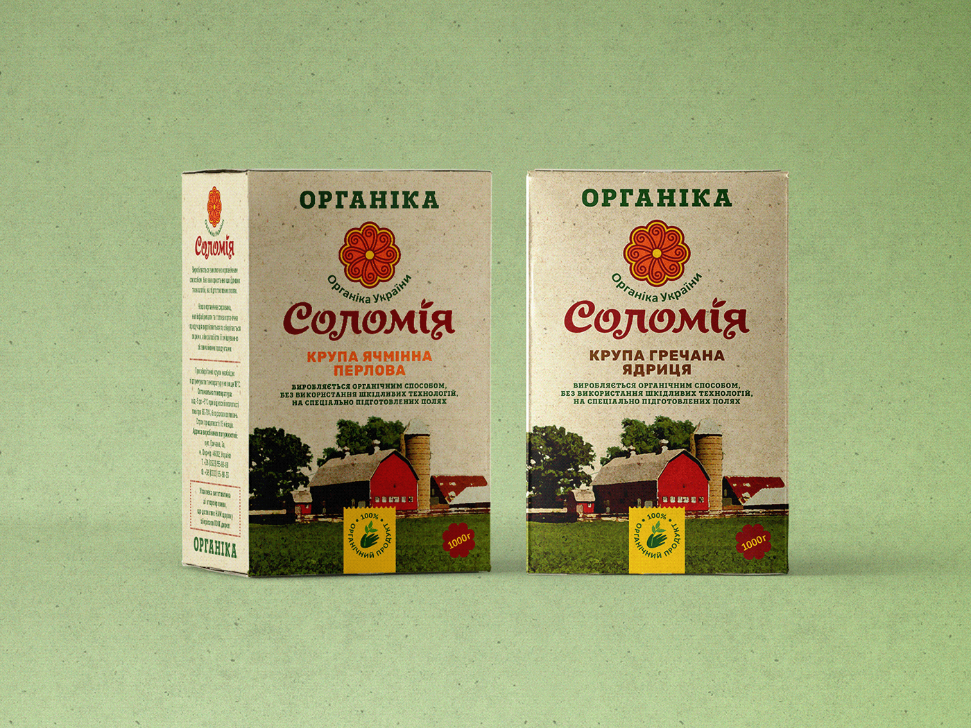 branding  lettering Packaging Sun brand identity Flowers Food  Logo Design organic grocery package design 