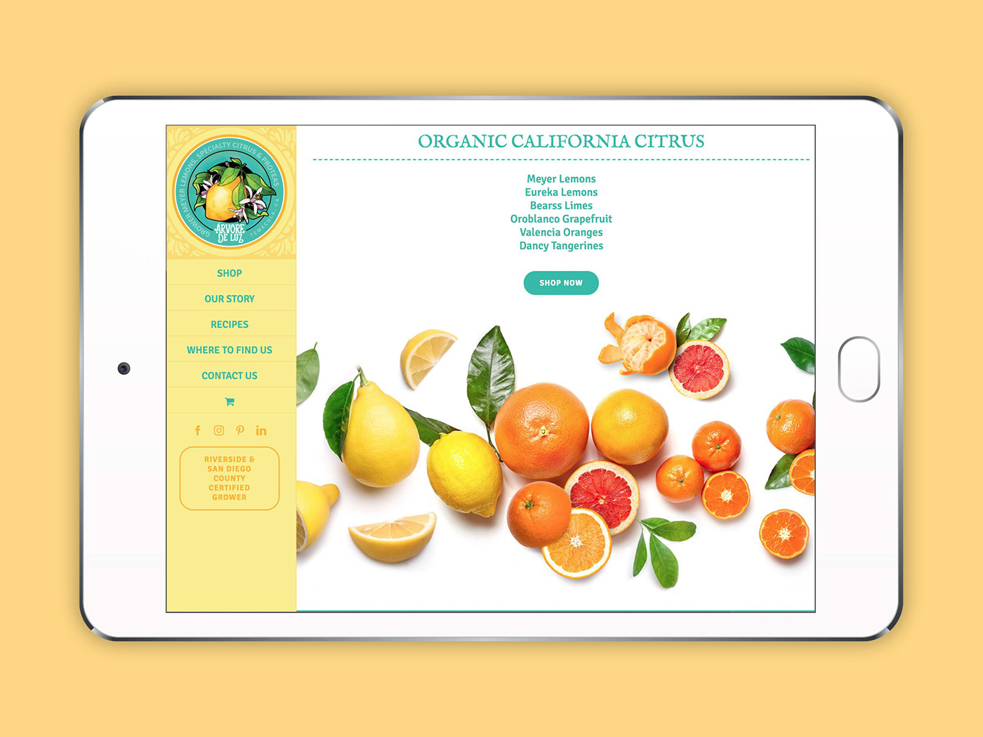 artwork branding  California farm Flowers Fruit juice lemonade Packaging Procreate