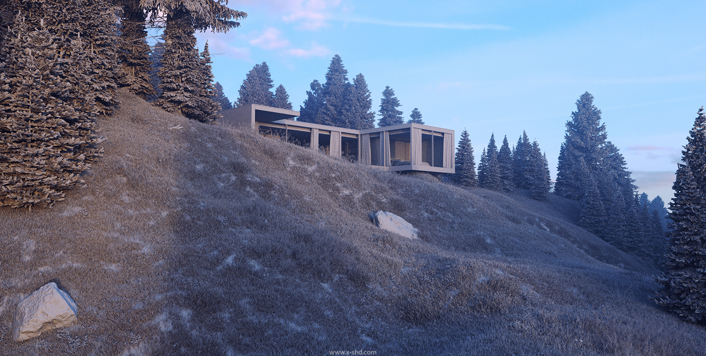 3D Render 3dsmax exterior forest minimalistic concrete light CGI modelling