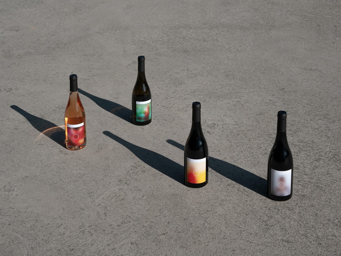 wine winelabel Label instagram blur eco alcohol beverage Collection bottles