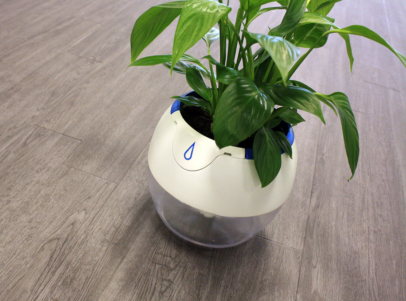 Plant plant pot Plant Pod POD gardening home house plant care watering Hydration Self Watering water Water Efficient