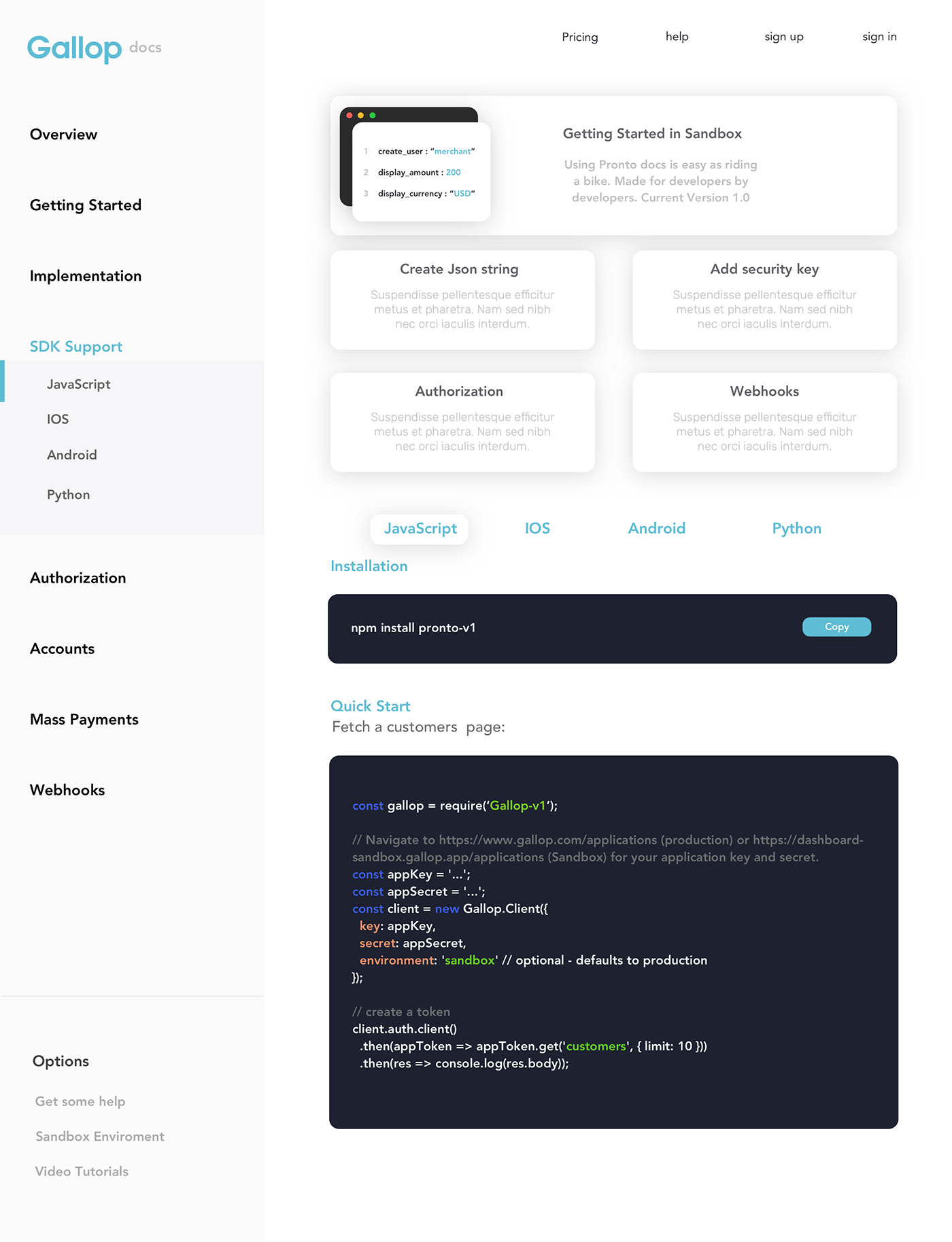 api developer tech Startup Fintech design UI ux ycombinator Webdesign