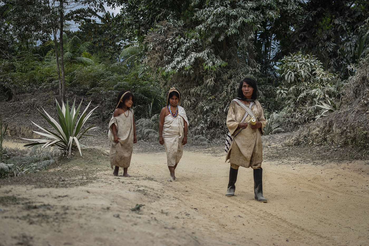 colombia ciudad perdida Lost City Trek indigenous tayrona cité perdue culture civilisation sacred