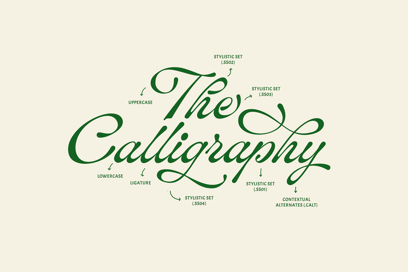 Calligraphy   font Handlettering lettering Logotype modern Script text Typeface typography  