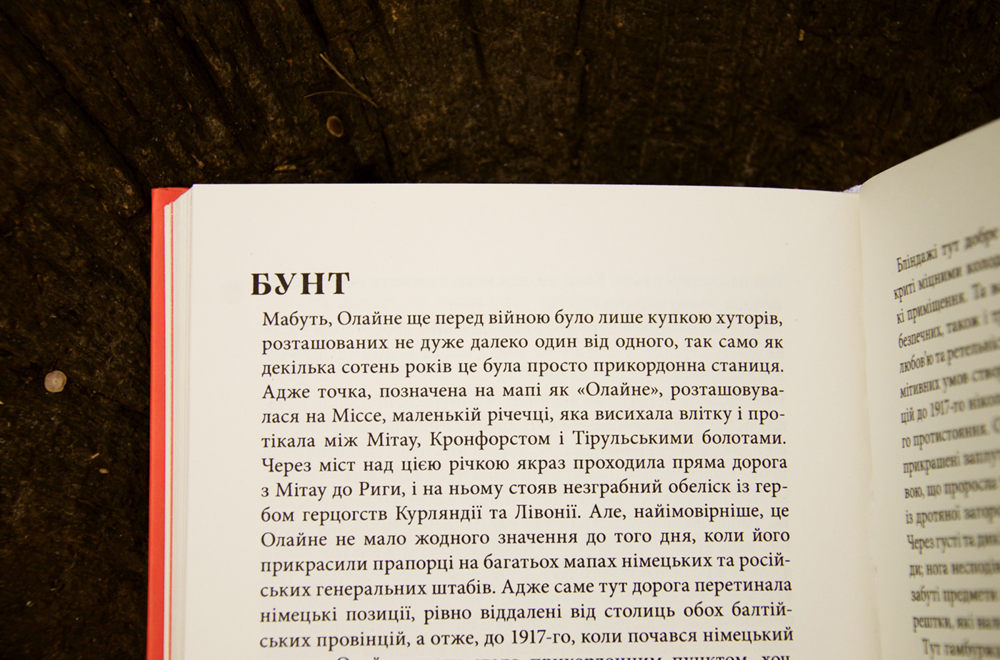 editorial book history novel ukraine Layout midjourney illustrations print