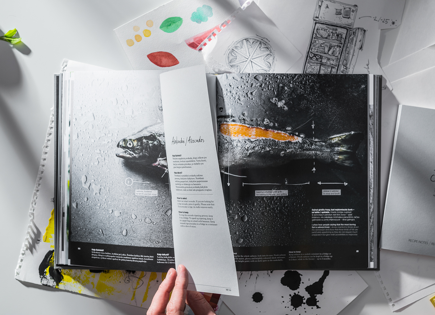 art direction  editorial design  book design Culinary handwriting ILLUSTRATION  graphic design 