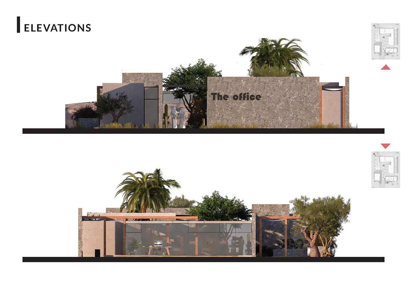 KSA Office desert Nature cactus Shadows Landscape architecture visual Render Experience