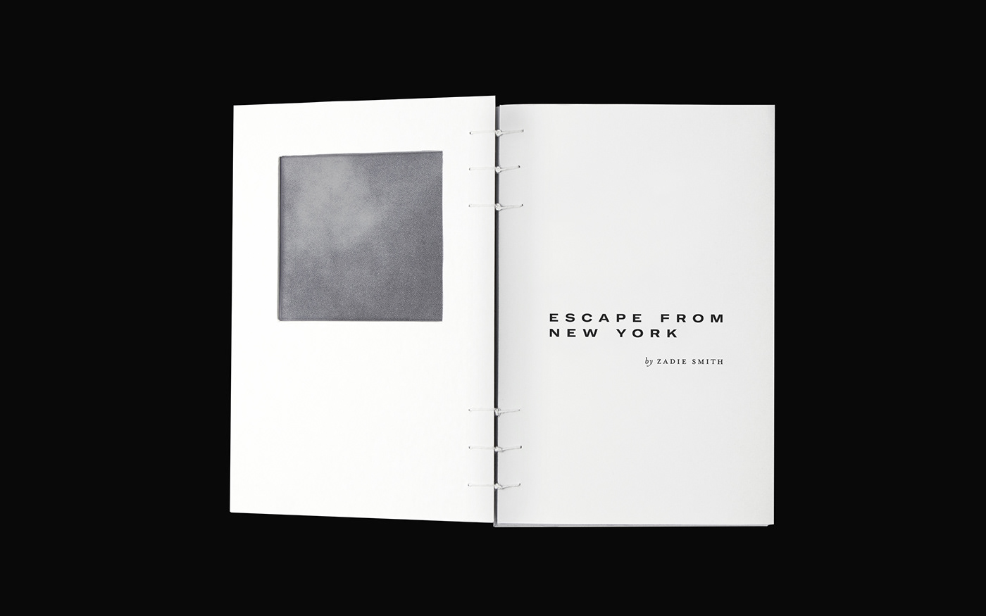 book design typography   graphic design  schoolofvisualarts editorial