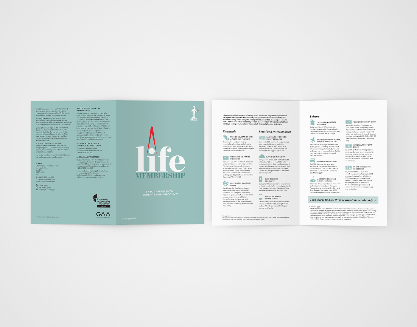brochure planner flyer poster ILLUSTRATION  colours accountancy branding  typography  
