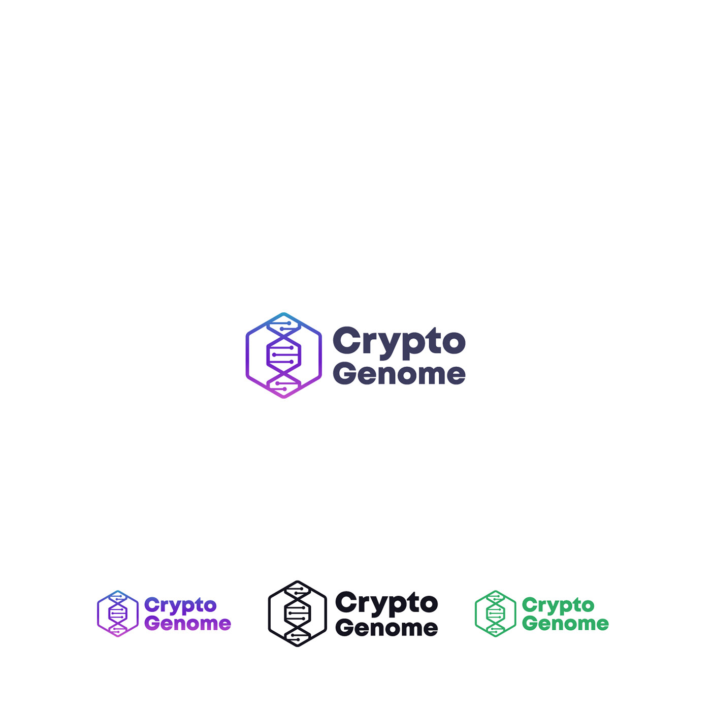 blockchain Brand Design brand identity Crypto Logo cryptocurrency design Digital Payment Logo Logo Design visual identity