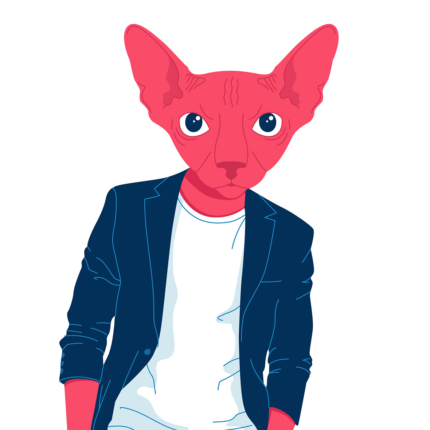 sphinx digital ILLUSTRATION  digitalart vector Cat Pet animal poster Character
