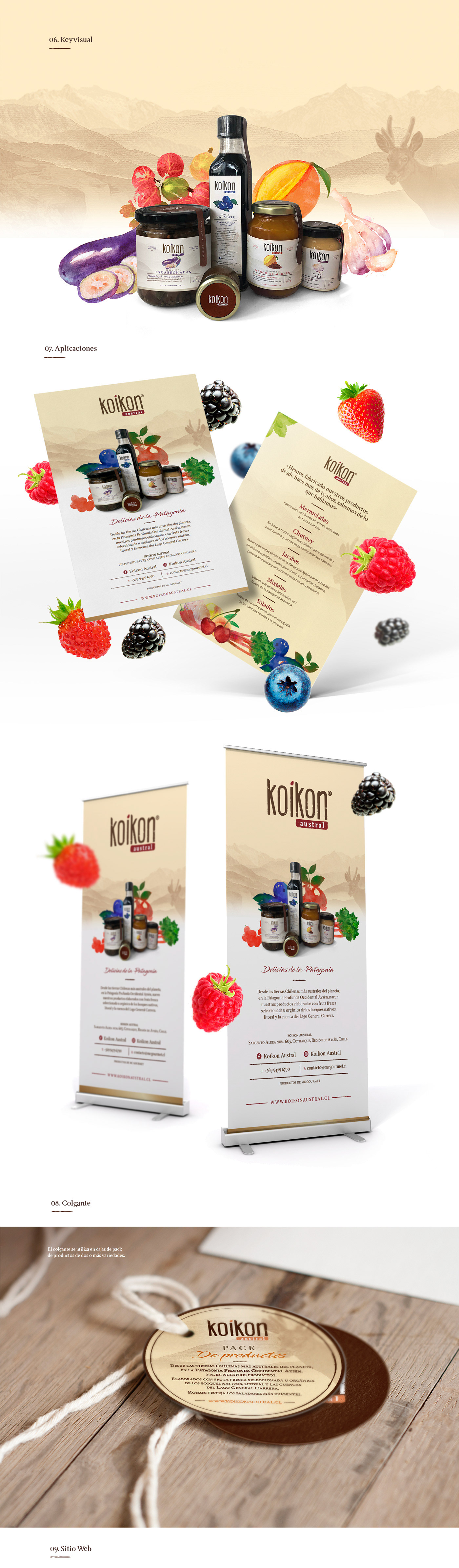 branding  Packaging watercolor corporate identity productdesign Label ILLUSTRATION  jams design