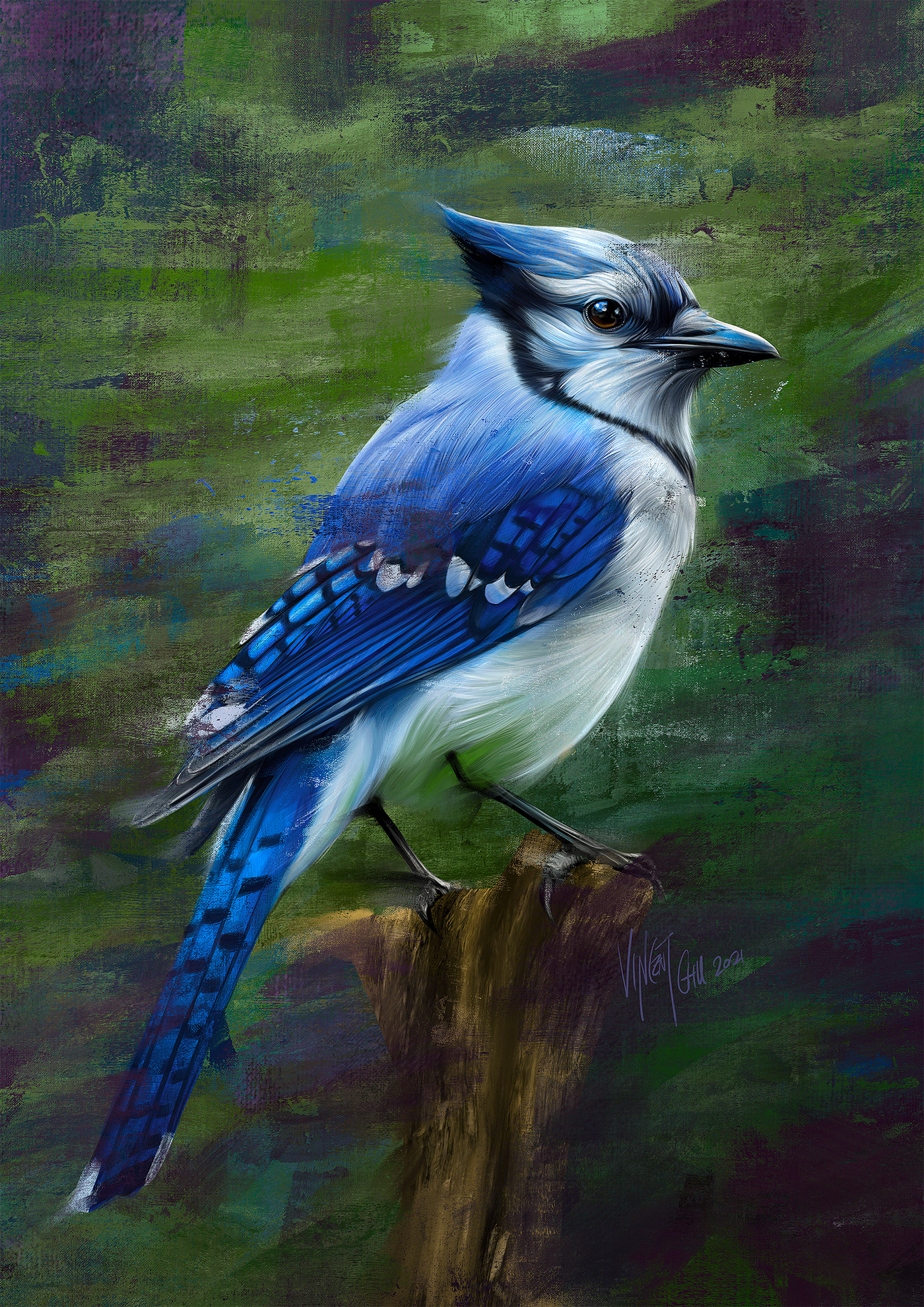 bird painting   Procreate