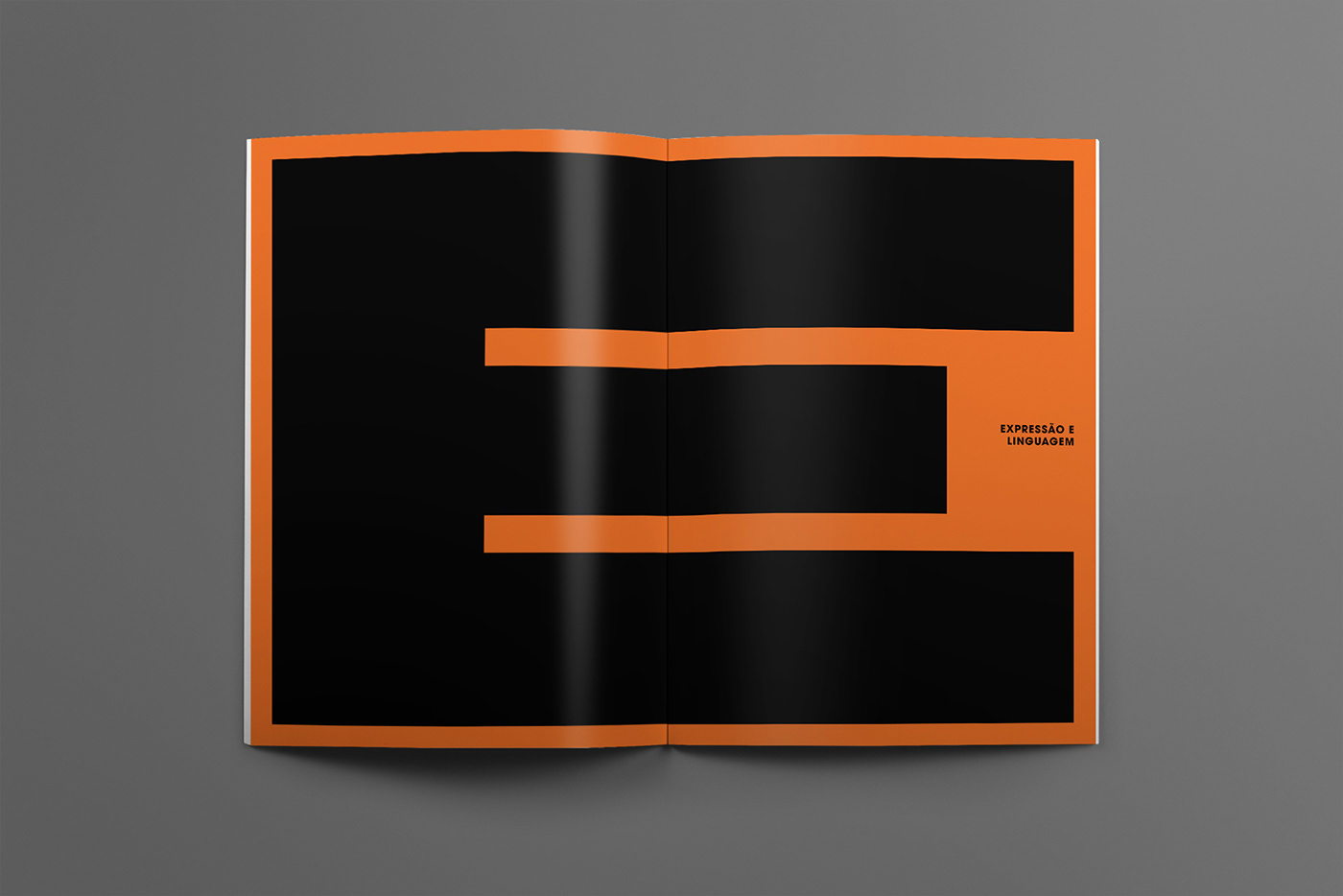 design gráfico editorial lettering magazine revistas type type design