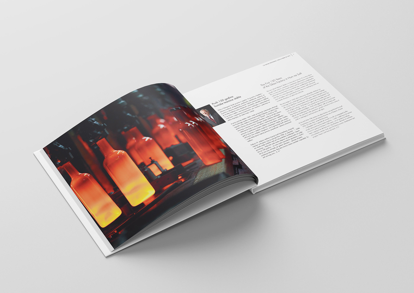 book cover book design design Layout Design marketing   monography