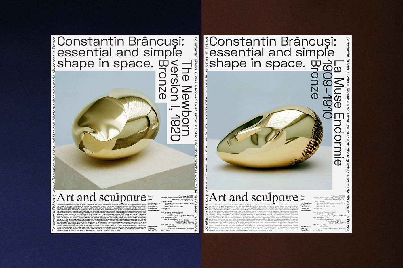 constantin brancusi book design Grafikdesign Bookdesign editorial