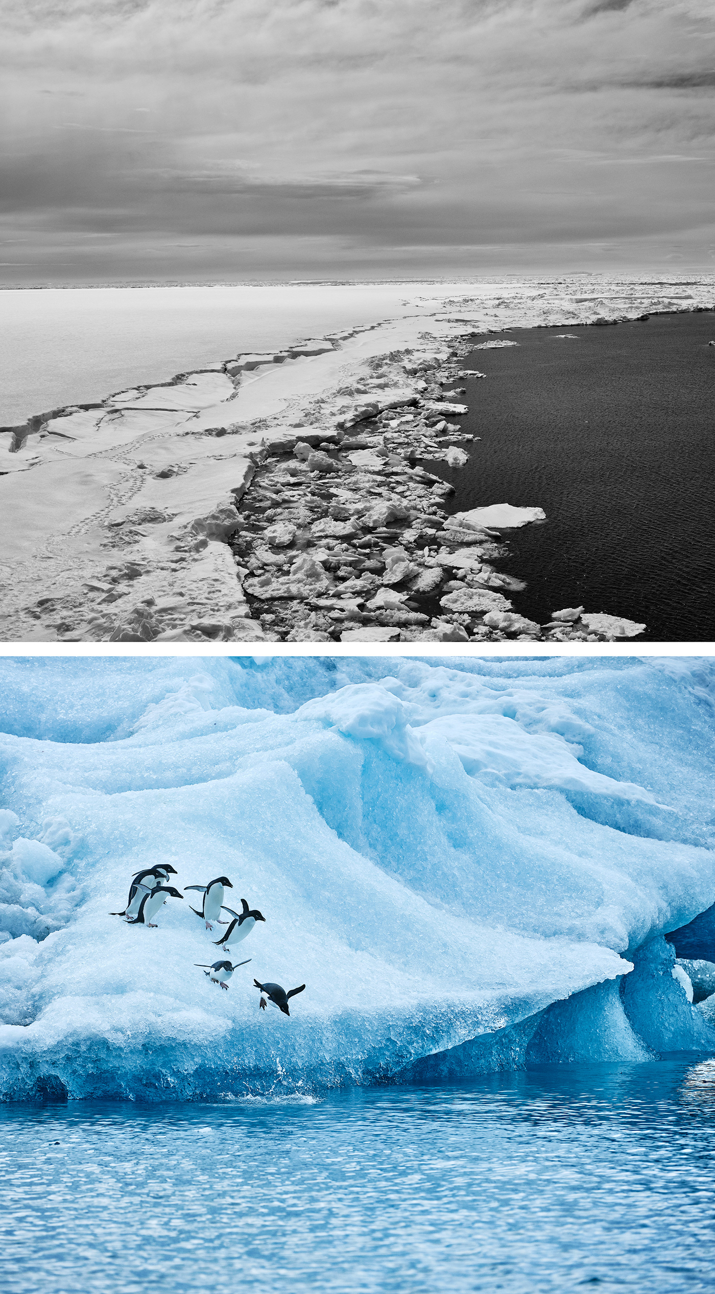 adventure antarctica cruiseship ice Landscape Nature penguins portrait Travel water