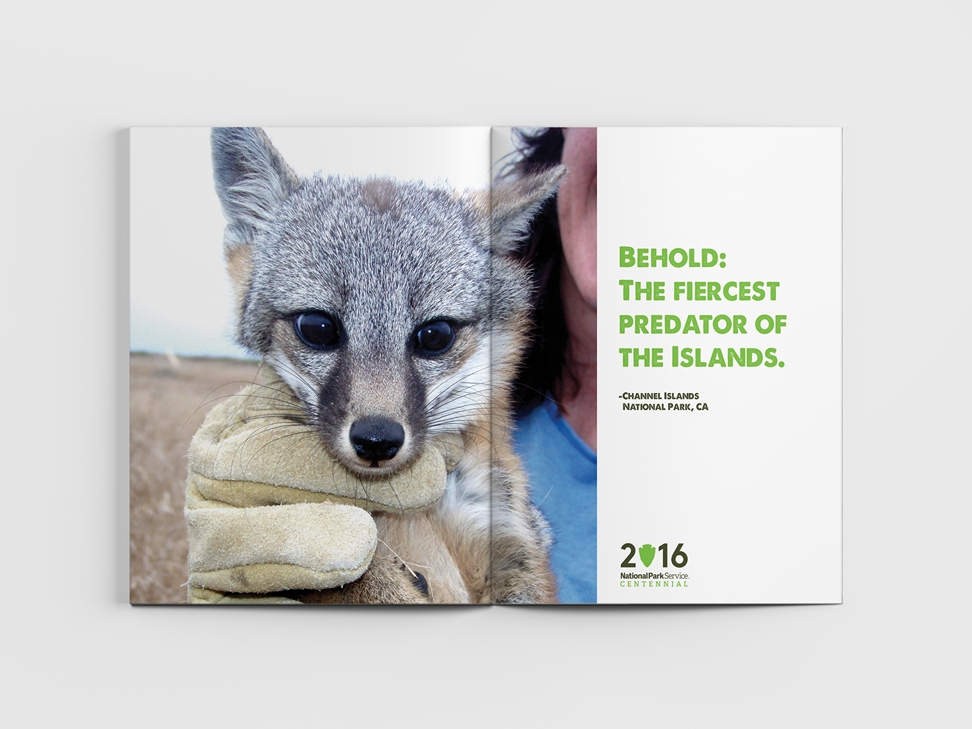 art direction  NPS national parks Advertising  campaign copywriting 