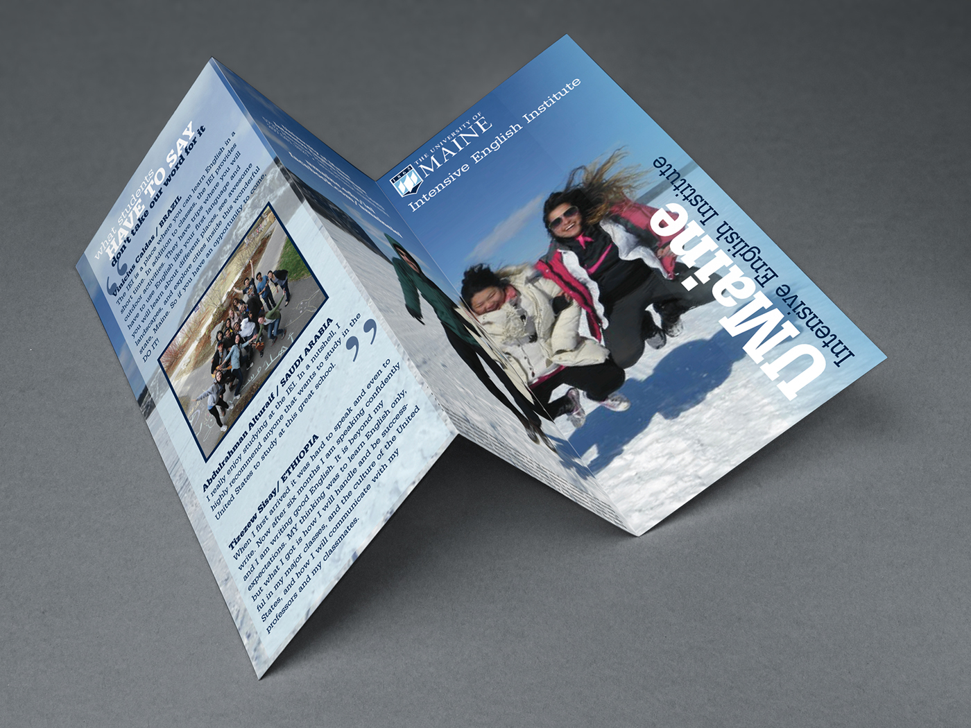 Adobe Portfolio marketing   Education poster brochure print