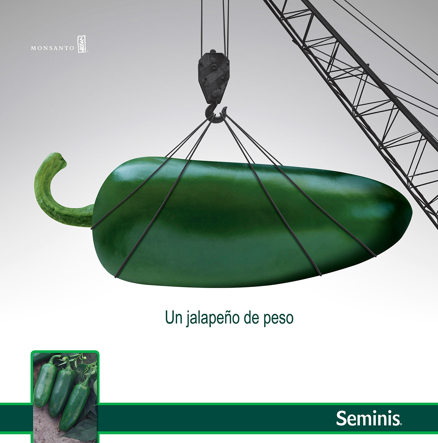 Monsanto agriculture green brand identity business corporate brochure design adobe illustrator
