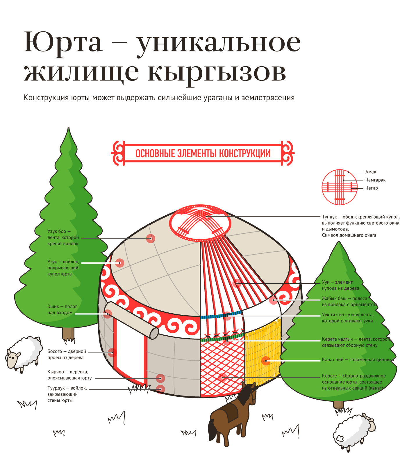 infographics information architecture  yurt nomad kyrgyzstan инфографика юрта Кыргызстан