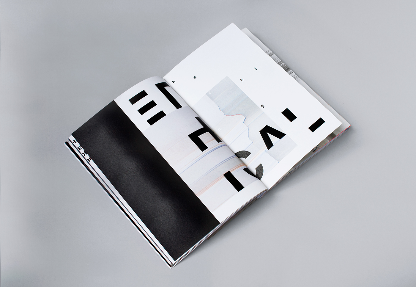 editorial simplistic paper Layout typo book texture photo Book Binding concept