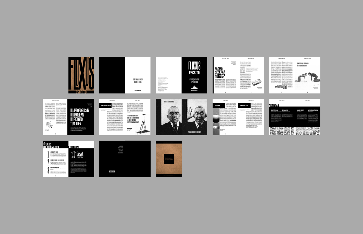 adobe illustrator cosgaya diseño gráfico editorial fadu Fluxus graphic design  plaquette tipografia typography  