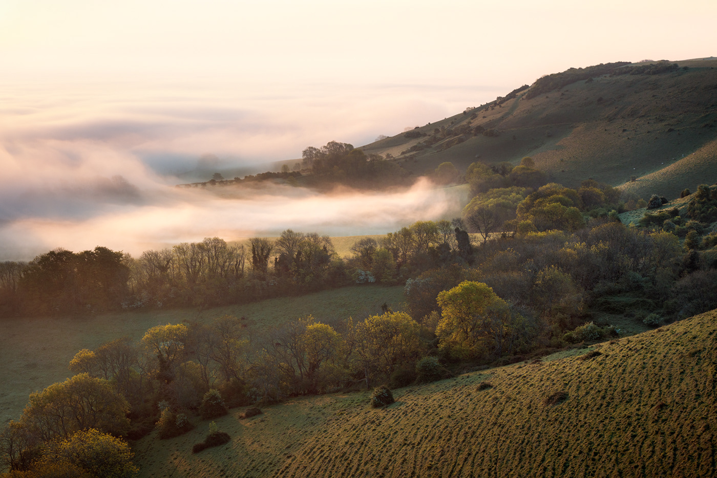 Landscape fog mist england sussex south downs hills valley Vapour DAWN Sunrise diffuse