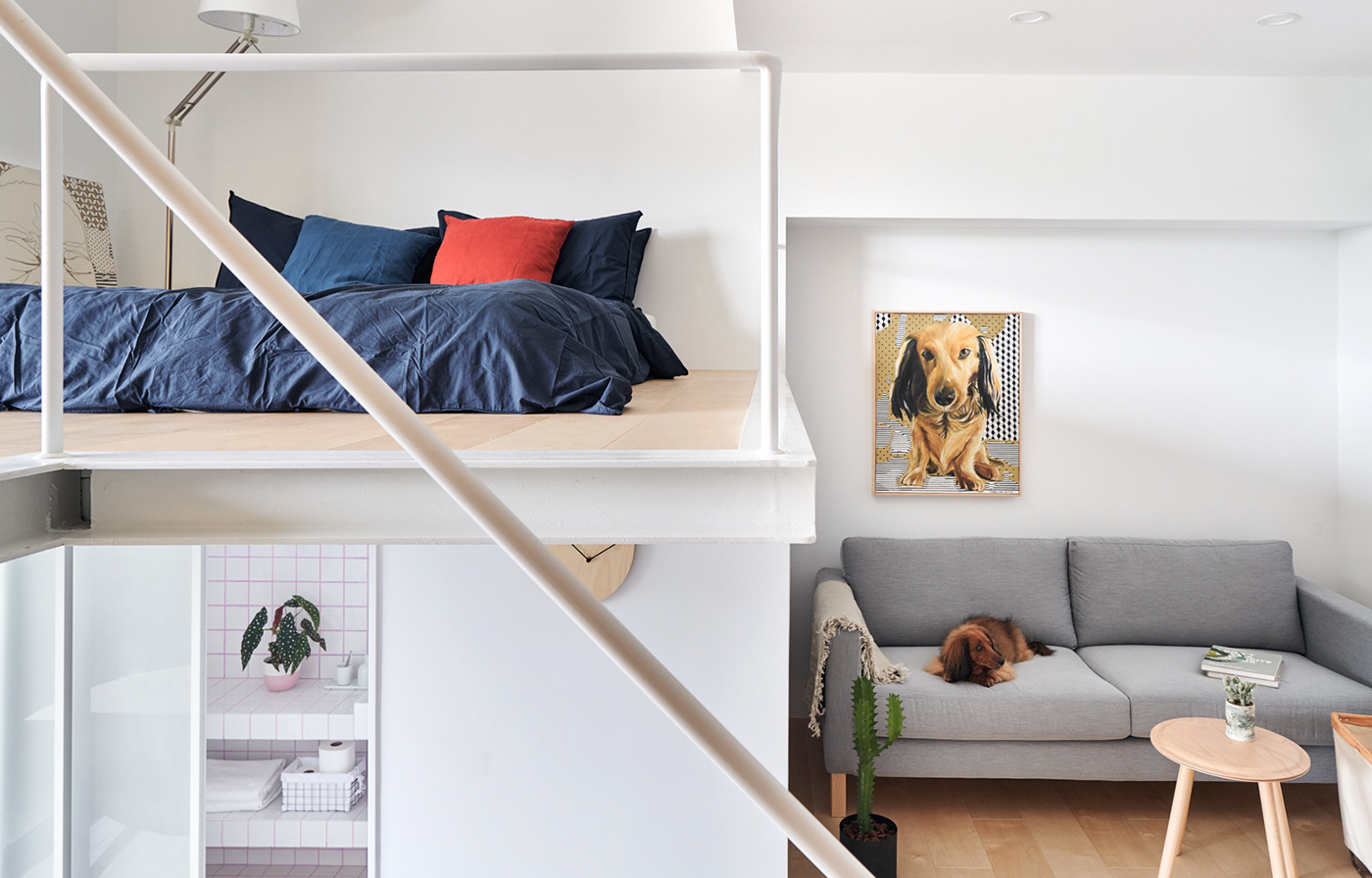 dackel dachshund dog Pet family apartment small Tiny Love taiwan