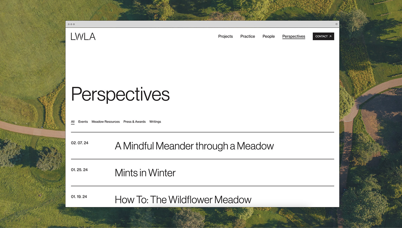 Perspectives page layout showing blog titles.
