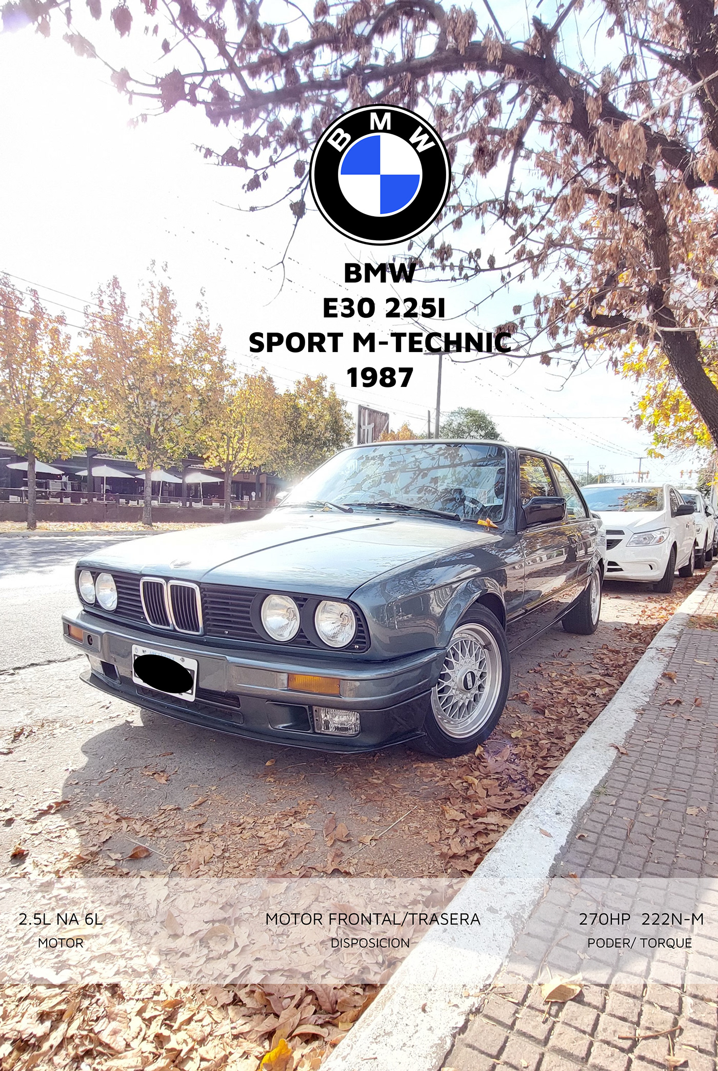 BMW E30 225I SPORT M-TECHNIC 1987
