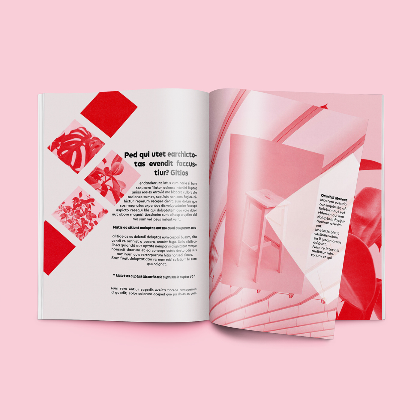 edition magazine Layout candyminimalist pink red pastelminimalist candyminimal pastelminimal grunge