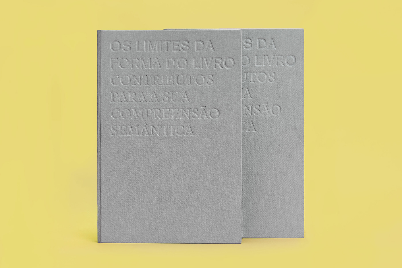 book editorial design  form of the object semantics type
