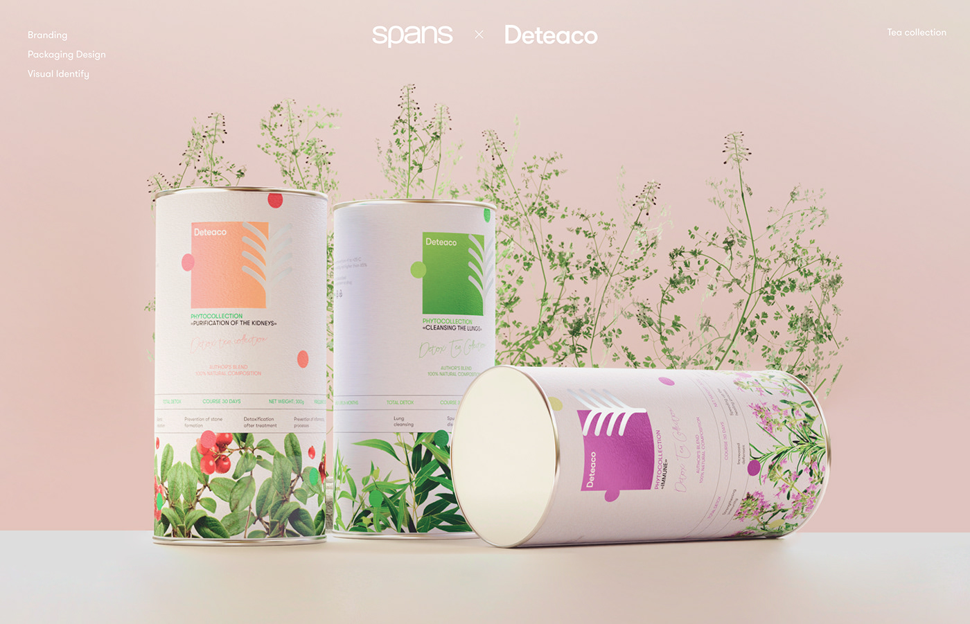 brand identity package packaging design visual identity Tea Collection ui ux Mockup reusable